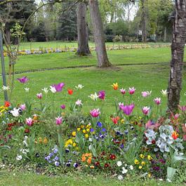 Le Jardin Massey Tarbes